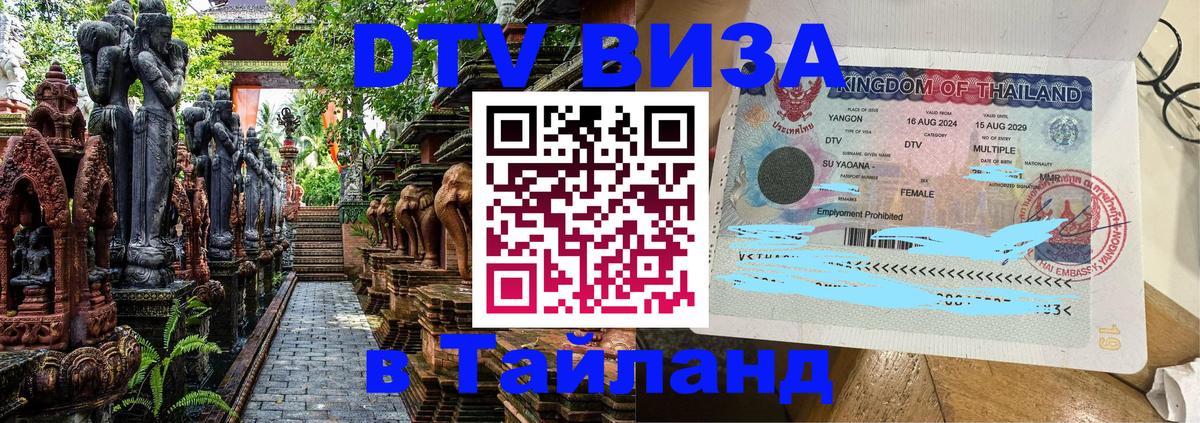 Сколько стоит DTV виза — актуальные цены, оформление даже без документов - Таллин  05.10.2025 